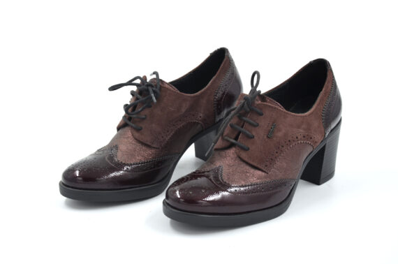 IGI&CO KOŽNE CIPELE 2188522